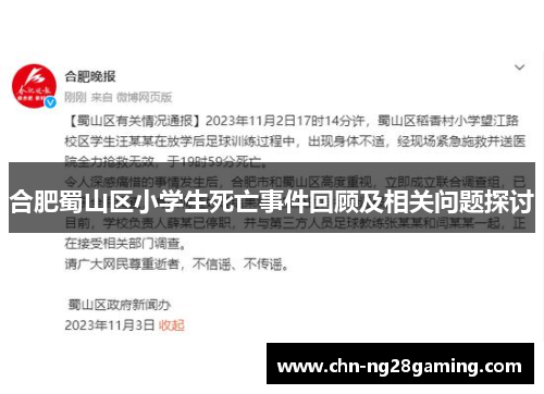 合肥蜀山区小学生死亡事件回顾及相关问题探讨