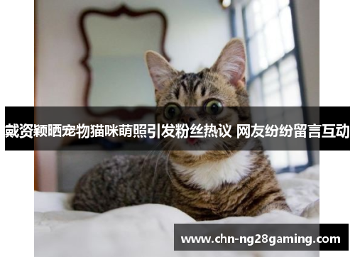 戴资颖晒宠物猫咪萌照引发粉丝热议 网友纷纷留言互动