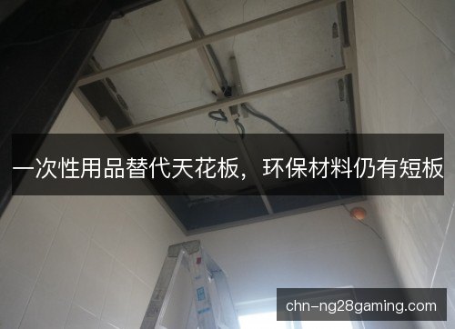 一次性用品替代天花板，环保材料仍有短板
